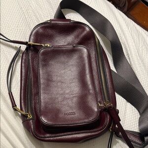 Fossil Burgundy Leather Backpack